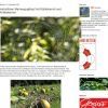 Herbstlicher Marmorguglhupf mit Reines steirisches Kürbiskernöl und Kürbiskernen